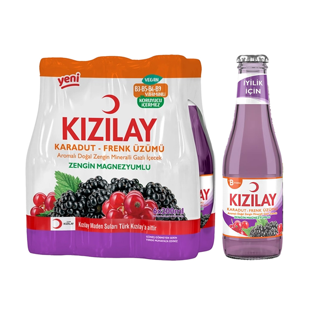 Kızılay Karadut-Frenk Üzümü Maden Suyu 6x200 ml